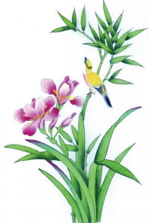 近现代 佚名 花鸟图册huaniaohua3_077[花鸟]