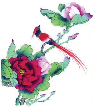 近现代 佚名 花鸟图册huaniaohua3_066[花鸟]