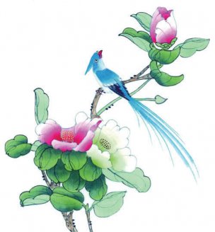 近现代 佚名 花鸟图册huaniaohua3_065[花鸟]