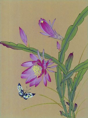 近现代 佚名 花鸟图册huaniaohua3_089[花鸟]