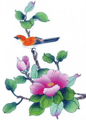 近现代 佚名 花鸟图册huaniaohua3_070[花鸟]