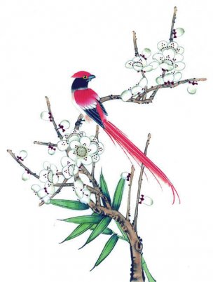 近现代 佚名 花鸟图册huaniaohua3_060[花鸟]
