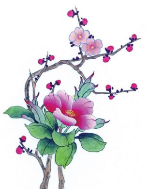 近现代 佚名 花鸟图册huaniaohua3_075[花鸟]