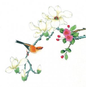 近现代 佚名 花鸟图册huaniaohua3_063[花鸟]