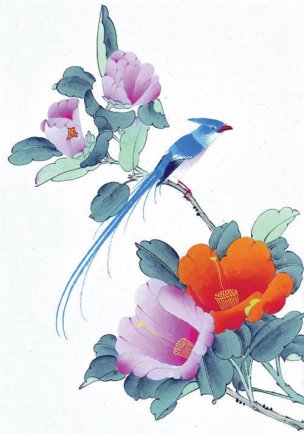 近现代 佚名 花鸟图册huaniaohua3_080[花鸟]