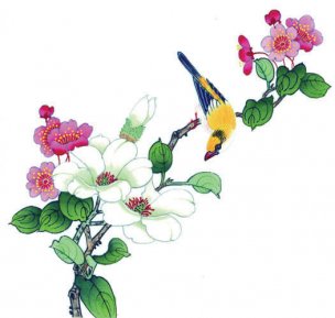 近现代 佚名 花鸟图册huaniaohua3_029[花鸟]