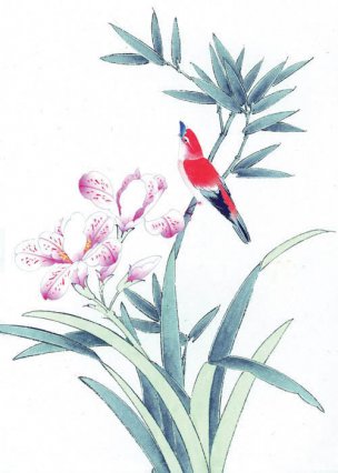 近现代 佚名 花鸟图册huaniaohua3_085[花鸟]