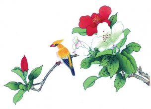 近现代 佚名 花鸟图册huaniaohua3_031[花鸟]