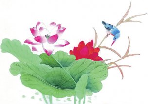 近现代 佚名 花鸟图册huaniaohua3_041[花鸟]