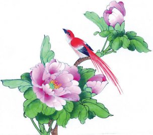 近现代 佚名 花鸟图册huaniaohua3_026[花鸟]