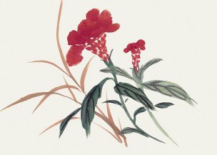 近现代 佚名 花卉图册J173-69-国画百花争艳98[花鸟