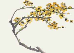 近现代 佚名 花卉图册J173-69-国画百花争艳88[花鸟