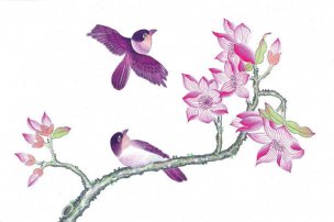 近现代 佚名 花鸟图册huaniaohua3_006[花鸟]