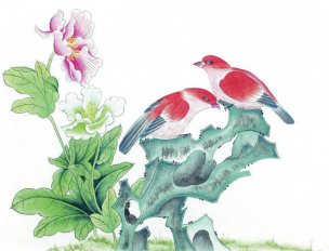 近现代 佚名 花鸟图册huaniaohua3_007[花鸟]