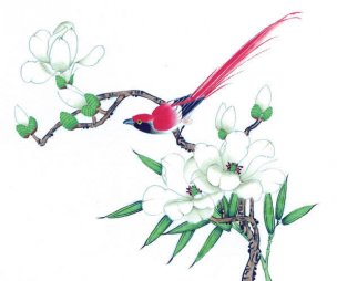 近现代 佚名 花鸟图册huaniaohua3_033[花鸟]
