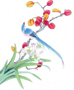 近现代 佚名 花鸟图册huaniaohua3_050[花鸟]