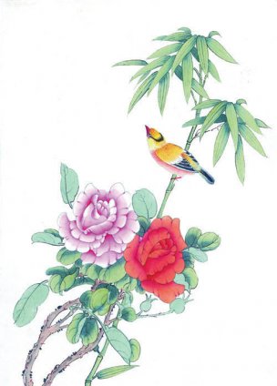 近现代 佚名 花鸟图册huaniaohua3_044[花鸟]
