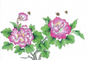近现代 佚名 花鸟图册huaniaohua3_012[花鸟]