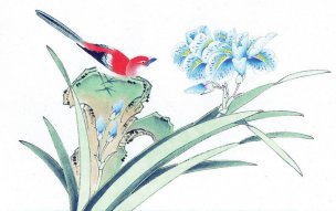 近现代 佚名 花鸟图册huaniaohua3_019[花鸟]