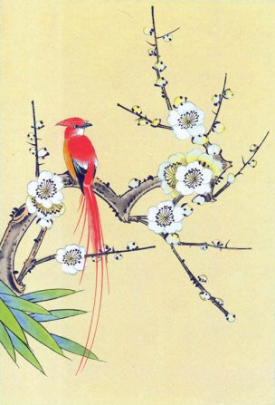 近现代 佚名 花鸟图册huaniaohua3_052[花鸟]
