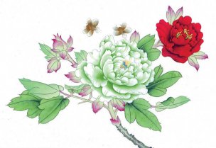 近现代 佚名 花鸟图册huaniaohua3_001[花鸟]