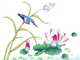近现代 佚名 花鸟图册huaniaohua3_030[花鸟]