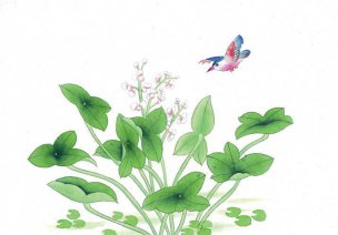 近现代 佚名 花鸟图册huaniaohua3_036[花鸟]