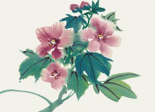 近现代 佚名 花卉图册J173-69-国画百花争艳97[花鸟