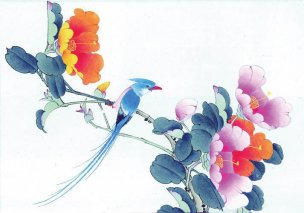 近现代 佚名 花鸟图册huaniaohua3_021[花鸟]