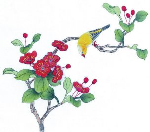 近现代 佚名 花鸟图册huaniaohua3_028[花鸟]
