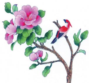 近现代 佚名 花鸟图册huaniaohua3_034[花鸟]