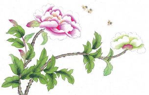 近现代 佚名 花鸟图册huaniaohua3_005[花鸟]