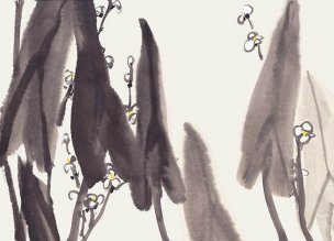 近现代 佚名 花卉图册J173-69-国画百花争艳9[花鸟