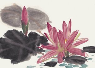 近现代 佚名 花卉图册J173-69-国画百花争艳99[花鸟