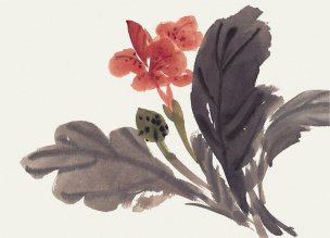 近现代 佚名 花卉图册J173-69-国画百花争艳81[花鸟
