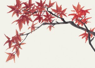 近现代 佚名 花卉图册J173-69-国画百花争艳83[花鸟