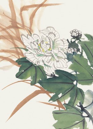 近现代 佚名 花卉图册J173-69-国画百花争艳73[花鸟