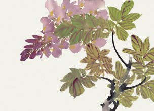 近现代 佚名 花卉图册J173-69-国画百花争艳65[花鸟