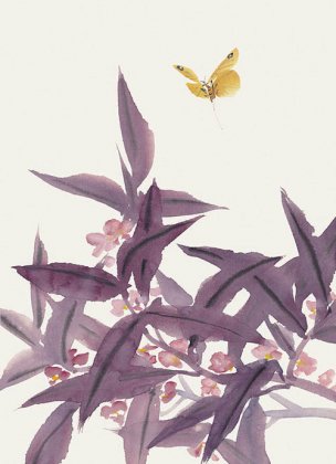 近现代 佚名 花卉图册J173-69-国画百花争艳67[花鸟