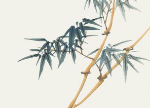 近现代 佚名 花卉图册J173-69-国画百花争艳6[花鸟