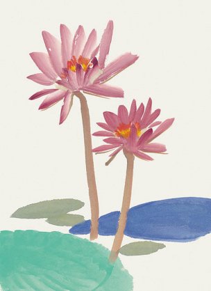 近现代 佚名 花卉图册J173-69-国画百花争艳61[花鸟