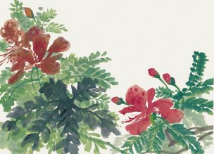 近现代 佚名 花卉图册J173-69-国画百花争艳59[花鸟