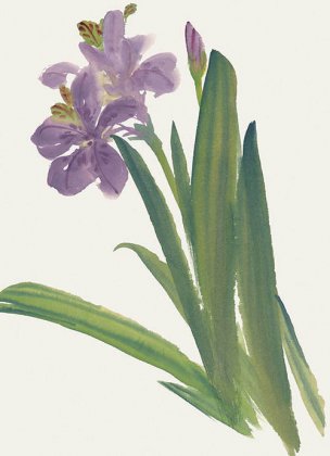 近现代 佚名 花卉图册J173-69-国画百花争艳62[花鸟