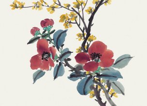 近现代 佚名 花卉图册J173-69-国画百花争艳71[花鸟