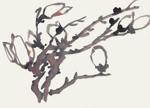 近现代 佚名 花卉图册J173-69-国画百花争艳4[花鸟