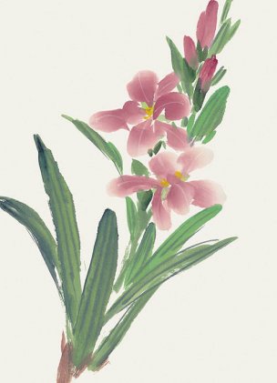 近现代 佚名 花卉图册J173-69-国画百花争艳68[花鸟