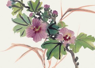 近现代 佚名 花卉图册J173-69-国画百花争艳87[花鸟