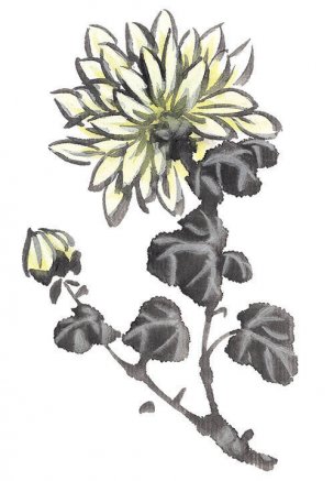 近现代 佚名 花卉图册J173-69-国画百花争艳515[花鸟