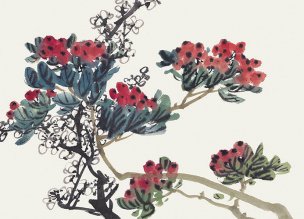近现代 佚名 花卉图册J173-69-国画百花争艳75[花鸟