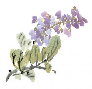 近现代 佚名 花卉图册J173-69-国画百花争艳493[花鸟